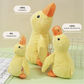 Paco le Canard : Peluche anti-stress
