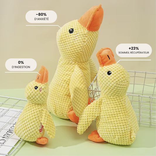 Paco le Canard : Peluche anti-stress
