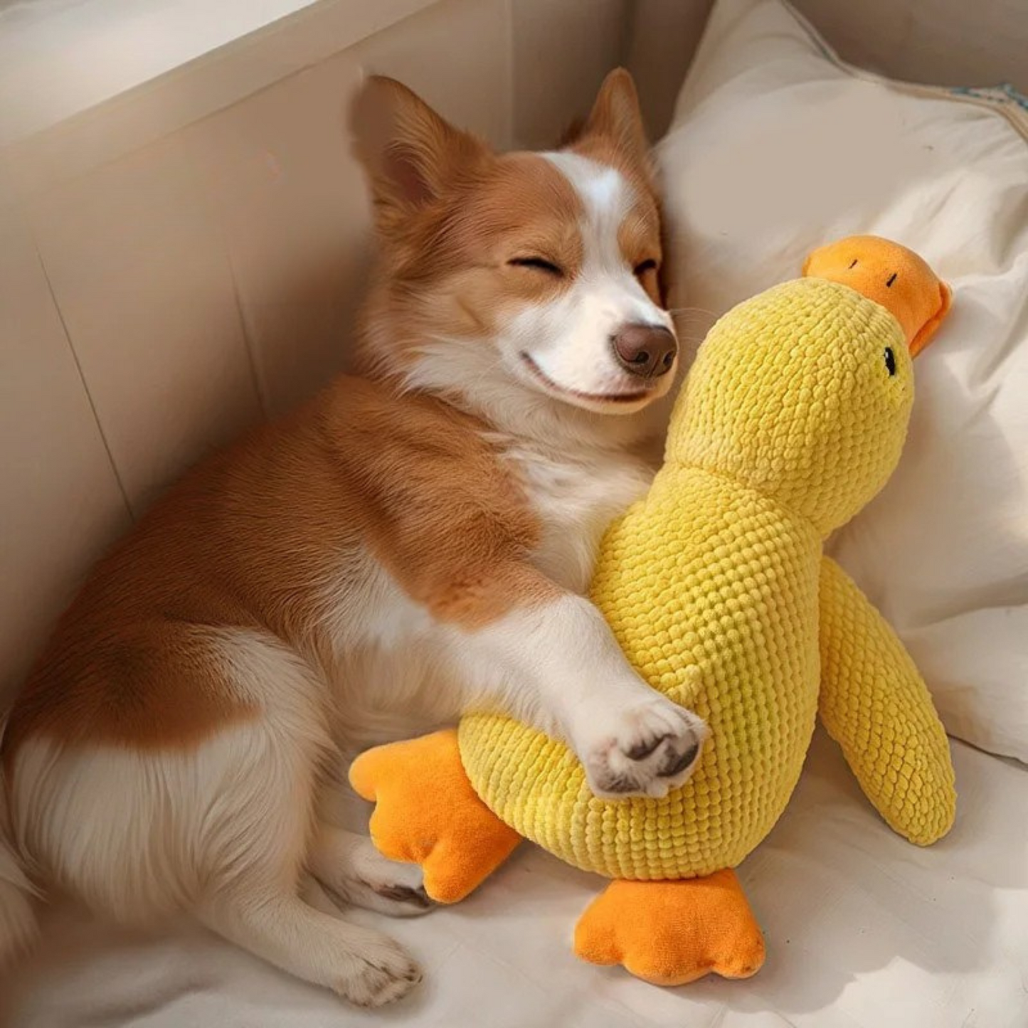 Peluche relaxante pour chien