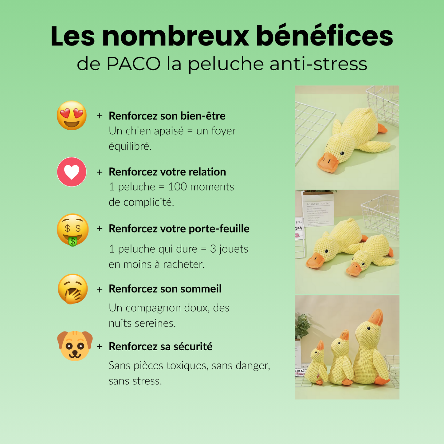 Paco le Canard : Peluche anti-stress