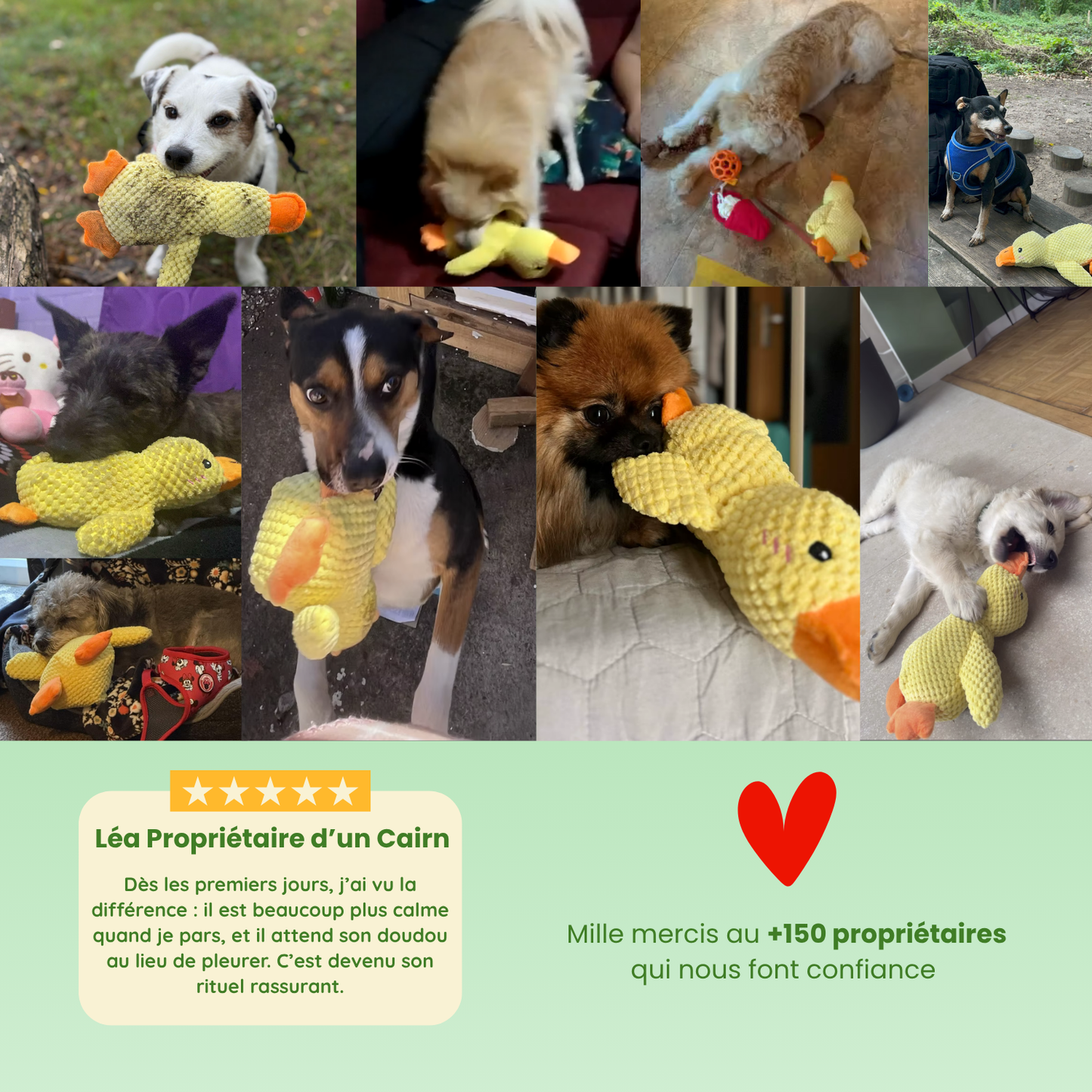 Paco le Canard : Peluche anti-stress