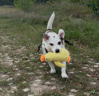 Peluche relaxante pour chien