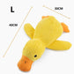 Peluche relaxante pour chien